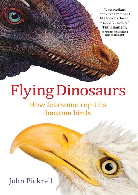 Flying Dinosaurs: how fearsome reptiles became birds by John Pickrell — Chris Watson