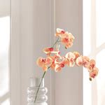 Shop Real Touch Orchid Flower Stem - 85 cm Online | Home Centre Saudi