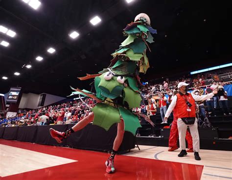 Stanford Football: Stanford Tree suspended by bandmates for not ...