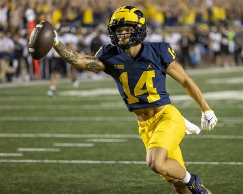 Michigan Football: Why Roman Wilson is Set for a HUGE Year