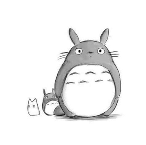 Drawing Totoro|| Art Tutorial | Studio Ghibli Amino