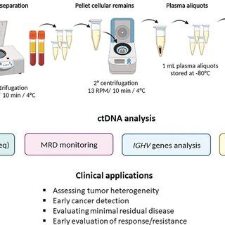 ctDNA collection method and analysis. (A) describes ctDNA isolation and... | Download Scientific ...