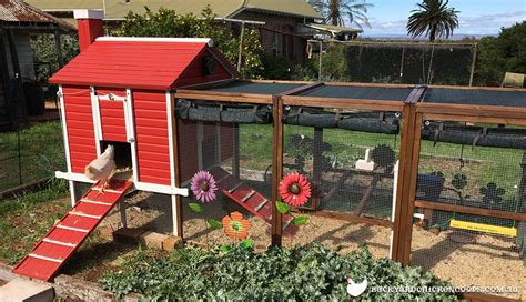 chicken run landscaping idea colourful and sculptural | Chicken diy, Diy chicken coop, Chicken ...