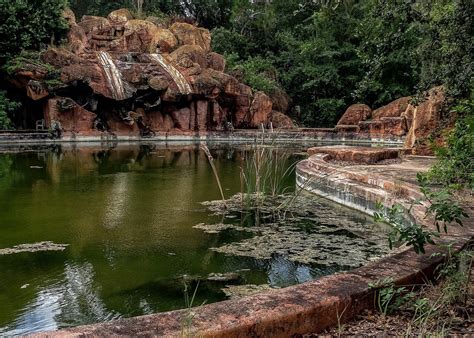 Abandoned Water Park Disney World