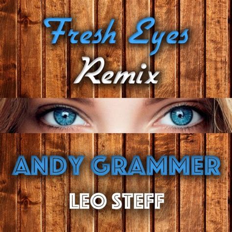 Stream Fresh Eyes - Andy Grammer (Leo Steff Remix) by Leo Steff ...