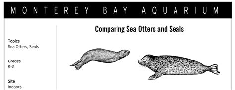 Comparing Sea Otters and Seals - K2 - Pacific Beach Coalition