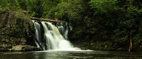 Hiking Abrams Falls - Waterfall Hike in Great Smoky Mountains National Park