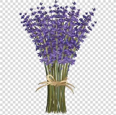 Lavender Flower Bouquet, Lavender PNG