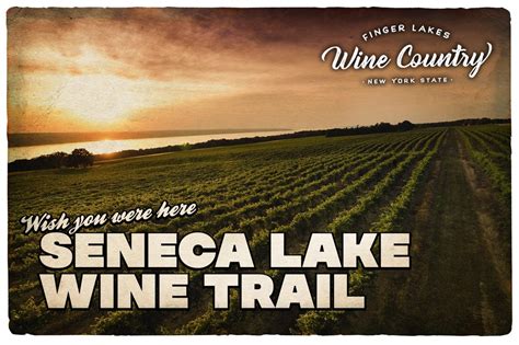 Seneca Lake Wine Trail Map Brochure 2019 Finger Lakes New York Upstate ...