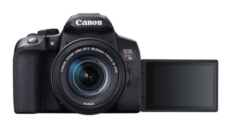 Canon Rebel T8i Review (good all-rounder for photography)