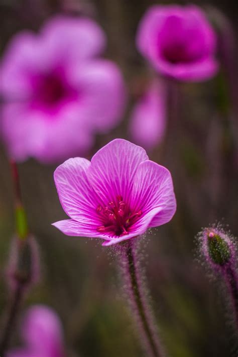 25+ Photos Of Small Things In Nature That Will Shock You - VIEWBUG.com