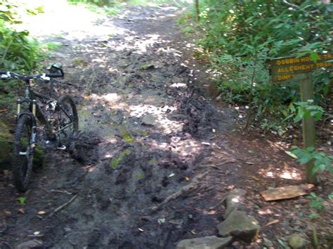 Davis Mountain Bike Trail in Davis, West Virginia || SINGLETRACKS.COM