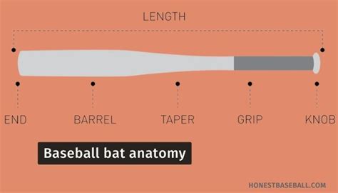 Baseball Bat Diagram