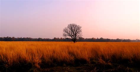 Hunter turns into Conservationist: Story of Jim Corbett National Park