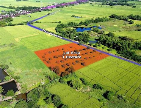 Nueva Ecija Farm Lot For Sale 🚜 [103 Properties] (March 2024) on OnePropertee.com