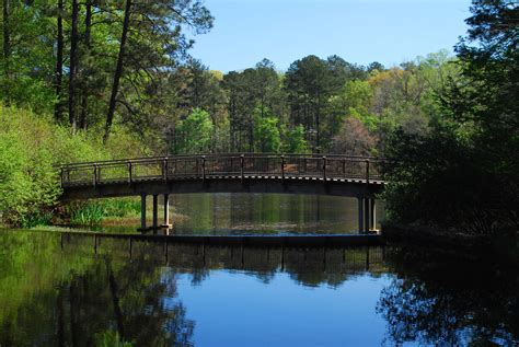 Calloway Garden in Pine Mountain, Georgia | Callaway gardens, Pine mountain, Pine mountain georgia