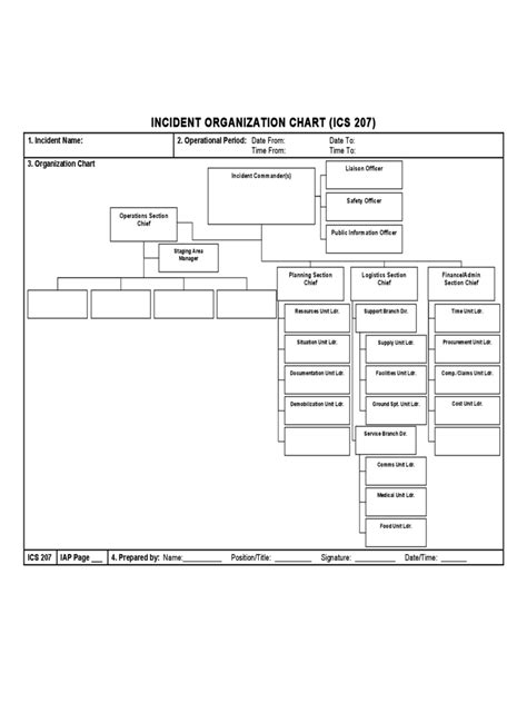 ICS Organizational Chart - 5 Free Templates in PDF, Word, Excel Download