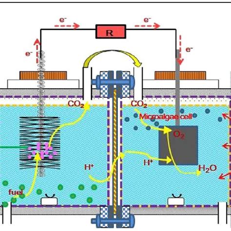 Voltage generation from sewage sludge versus time. Factors affecting ...