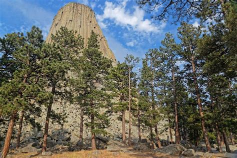 Devils Tower Summit Seen through the Forest Stock Image - Image of bear, crook: 129430793