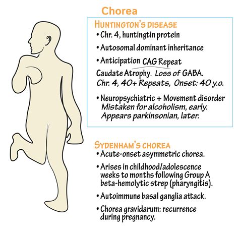 Neuroanatomy Glossary: Huntington's Disease | ditki medical ...