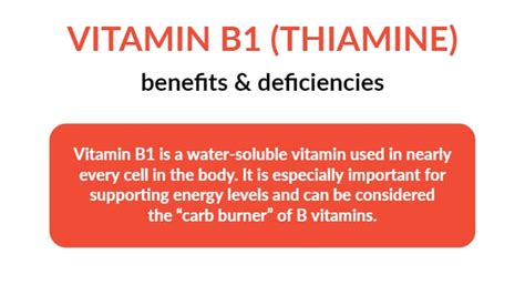 Vitamin B1 Benefits, Deficiency and Foods - Dr. Daniel Functional Medicine