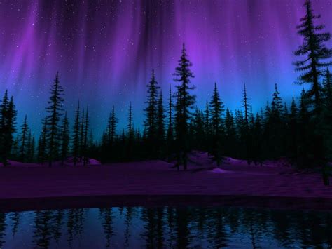 purple northern lights wallpaper | Northern lights, Aurora borealis, Aurora borealis northern lights