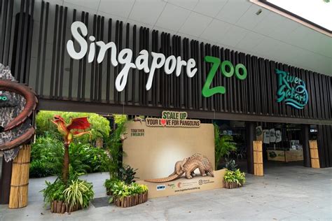 11 Reasons Why Singapore Zoo Is One Of The Best Zoos In The World