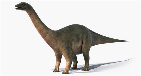 realistic brontosaurus obj