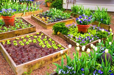 Raised Garden Bed Planting Guide - Garden Design Ideas