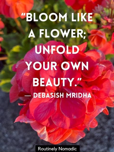 120 Bloom Quotes: Perfect Blooming Flower Quotes for 2022 | Routinely ...