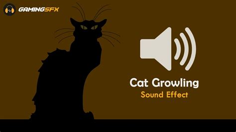 Cat Growling - Sound Effect [Copyright Free] ASMR - YouTube