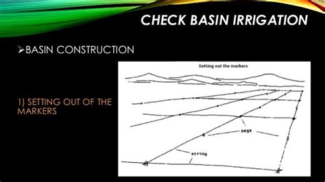 check basin , furrow and border strip method