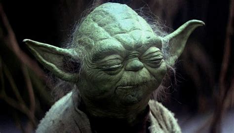 900 years old he is | Yoda quotes, Yoda funny, Yoda meme