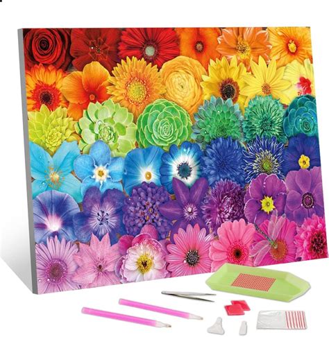 Amazon.com: TISHIRON 5D Diamond Art Flower Spectrum Diamond Art Kits ...