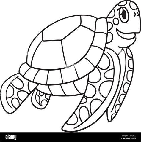 Turtle Isolated Coloring Page for Kids Stock Vector Image & Art - Alamy