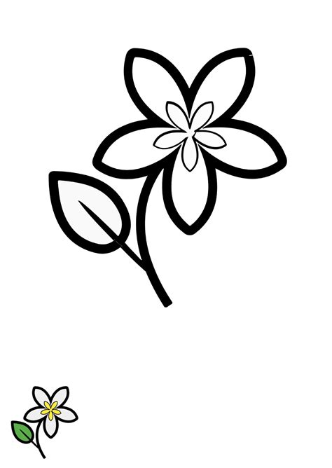 Free Jasmine Flower Coloring Page Template - Edit Online & Download | Template.net