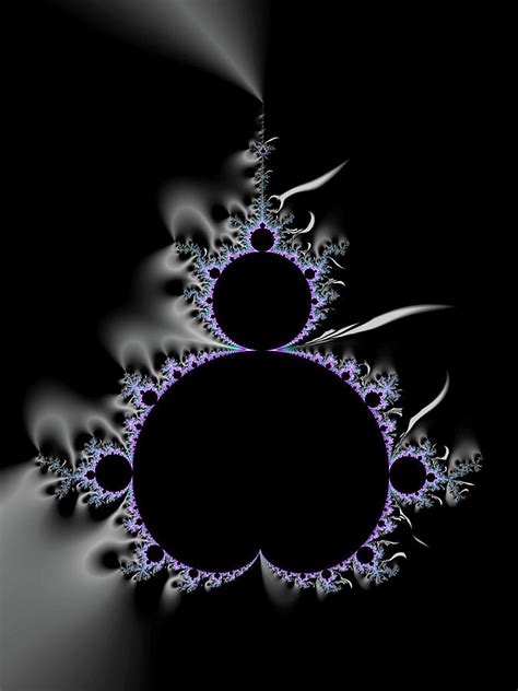 Fractal Mandelbrot Set black and purple Digital Art by Matthias Hauser - Fine Art America