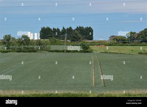 river medina Isle of Wight Stock Photo - Alamy