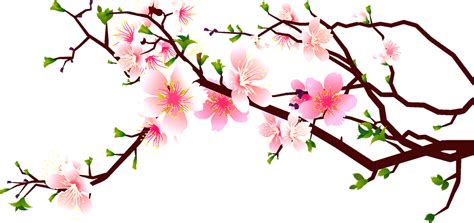 The best free Blossom clipart images. Download from 153 free cliparts of Blossom at GetDrawings