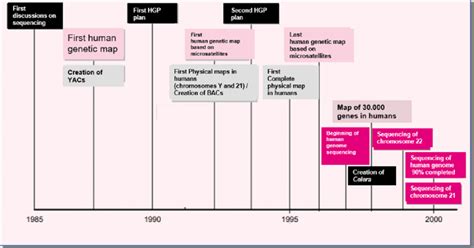 Timeline of the main steps involved in the human genome project. HGP ...