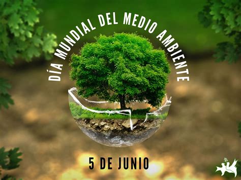 Día Mundial del Medio Ambiente – Peace and Cooperation