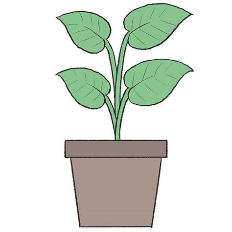 14+ Easy Plant Drawing - KuwatLaithen