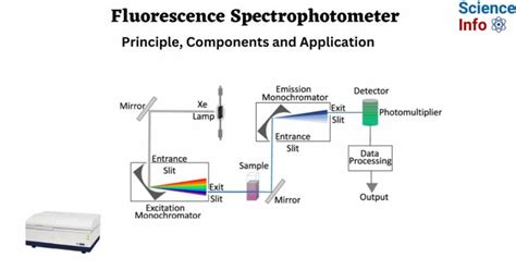 Fluorescence Spectrophotometer: Principle, Components, Application