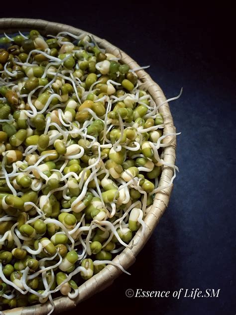 HOW TO MAKE SPROUTS - GREEN GRAM