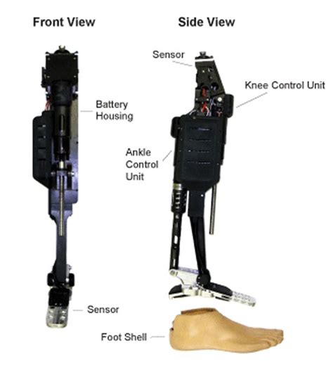 Powered Robotic Legs - Leaping Toward the Future | National Institute of Biomedical Imaging and ...