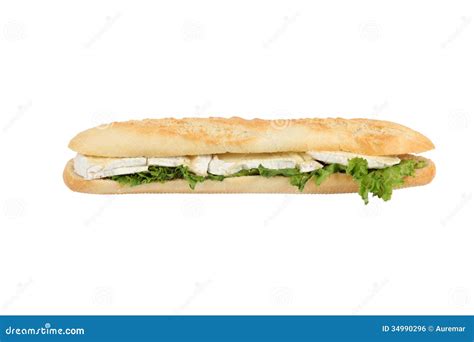 Cheese sandwich stock photo. Image of light, natural - 34990296