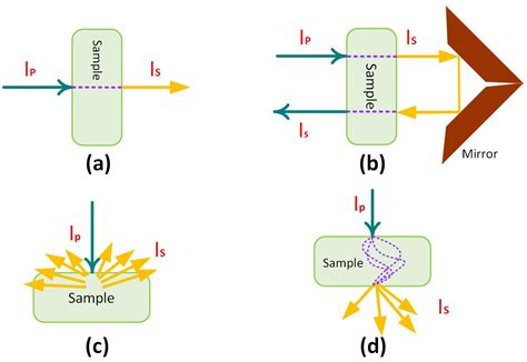 Sensors | Free Full-Text | A Review of Machine Learning for Near-Infrared Spectroscopy