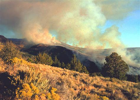 2001 Sheepshead Fire | The 51,000+-acre Sheepshead fire burn… | Flickr