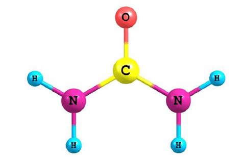 Organic Compound Definition - JavaTpoint