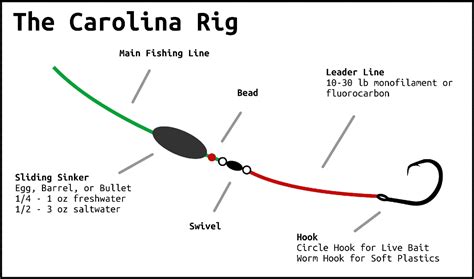 The Carolina Rig - Everything You Ever Wanted To Know - Juran Adventures